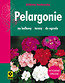 Pelargonie