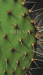 Notes bloczkowy ND 101 z długopisem Kaktus