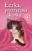 Łezka przerażona kotka