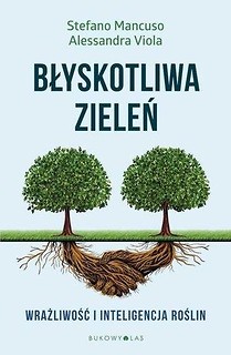 Błyskotliwa zieleń