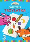 Akademia malucha Ćwiczenia trzylatka