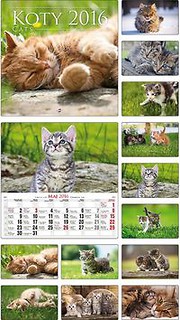 Kalendarz 2016 Koty