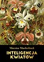 Inteligencja kwiat&oacute;w