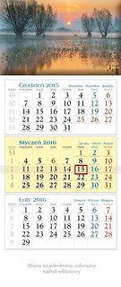Kalendarz 2016 KT 14 Drzewa trójdzielny