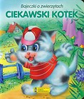 Ciekawski kotek