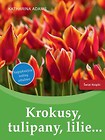 Krokusy, tulipany, lilie…