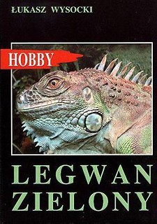 Legwan zielony hobby