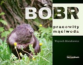 Bóbr - pracowity mąciwoda