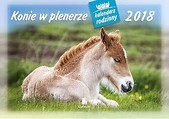 Kalendarz rodzinny 2018 - Konie w plenerze WL10