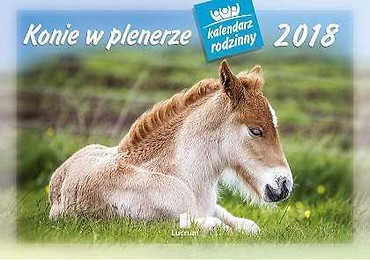 Kalendarz rodzinny 2018 - Konie w plenerze WL10