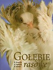 Gołębie rasowe