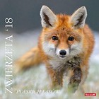 Kalendarz 2018 13 PL 30x30 Zwierzęta polskich las.