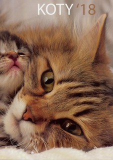 Kalendarz 2018 13 PL 30x30 Koty