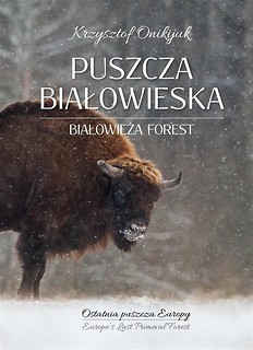 Puszcza Białowieska. Ostatnia puszcza Europy