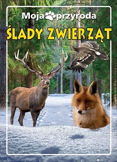 Moja przyroda. Ślady zwierząt
