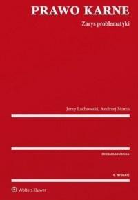 Prawo karne. Zarys problematyki w.4