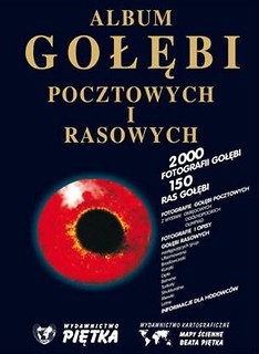 Album gołębi pocztowych i rasowych