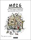 M&oacute;zg. To o czym dorośli Ci nie m&oacute;wią