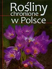 Rośliny chronione w Polsce