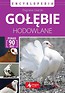 Encyklopedia. Gołębie hodowlane wyd.2018