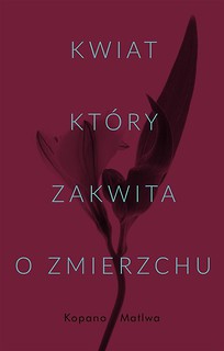 Kwiat, kt&oacute;ry zakwita o zmierzchu