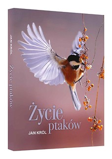 Życie ptak&oacute;w