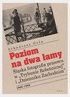 Poziom na dwa łamy