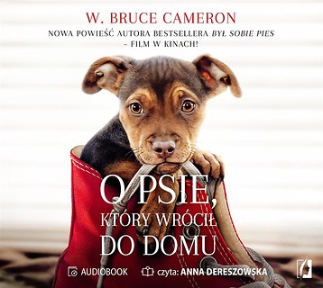 O psie, kt&oacute;ry wr&oacute;cił do domu audiobook