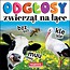 Odgłosy zwierząt na łące