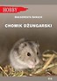 Chomik dżungarski w.2019