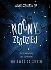 Nocny złodziej