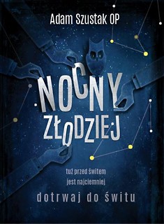 Nocny złodziej