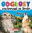 Odgłosy zwierząt w lesie