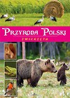 Przyroda Polski. Zwierzęta