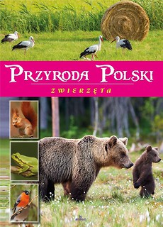 Przyroda Polski. Zwierzęta