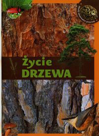 Życie drzewa