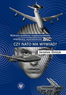 Wybrane problemy międzynarodowej wsp&oacute;łpracy...