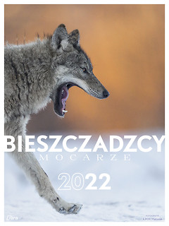 BIESZCZADZCY MOCARZE 2022 KALENDARZ WILK