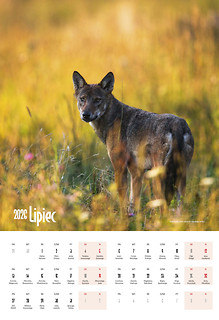 Bieszczady 2026 kalendarz