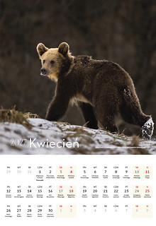 Bieszczady 2027