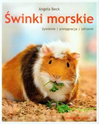 Świnki morskie