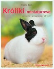 Króliki miniaturowe