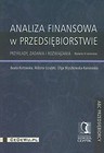 Analiza finansowa w przedsiębiorstwie