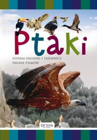 Ptaki