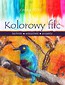 Kolorowy filc