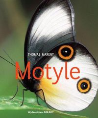Motyle