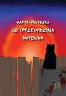 Co (prze)widziała Antonina