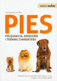 Pies pielęgnacja, szkolenie i trening charakteru