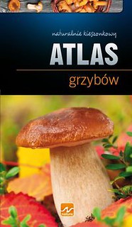 Natura Atlas grzybów