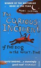 Curious Incident of Dog in Night-Time